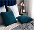 DEZENE Turquoise Throw Pillow Cases 22x22: 2 Pack Inch Original Striped Velvet Square Decorative Pillow Covers for Farmhouse Couch...