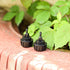 5 Pack 1/4 Inch Drip Irrigation Tubing to Faucet/Garden Hose Adapter Drip Irrigation Hose Connectors 3/4" Garden Hose to 1/4" Drip Tubing Drip Sys...