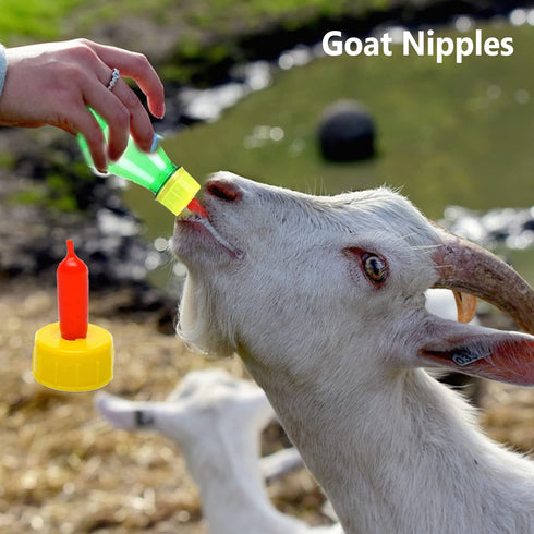 35 PCS Pritchard Nipple for Goats, Small Soft Goat Nipples Silicone Lambs Milk Drink Nipple for Feeding Sheep Goat Lamb Puppy Nursing Farm Supplie...