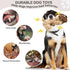 Plush Dog Toy, Squeaky & Stuffed Puppy Toy, Small & Medium Dog Toy...