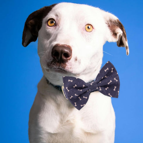 Adjustable Pet Bow Tie and Dog Collar for Small Medium Large Dogs, Puppy Collar with Bowtie, Cute Bow and Dog Collars - Comfortable, Soft, and Dur...