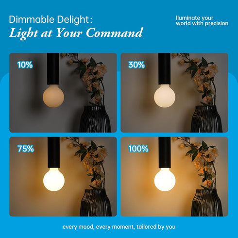 Frosted LED Globe Light Bulbs, 6W LED Light Bulb,Warm White 2700K 600LM E26 Standard Base Dimmable Edison Bulb, G30/G95 Vintage LED Edison Bulb, 2...