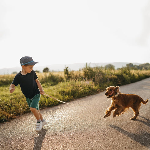 Waterproof Dog Leash Carabiner Leash for Dogs Soft Handle Easy Care 5ft*15mm*2.0mm Sand...