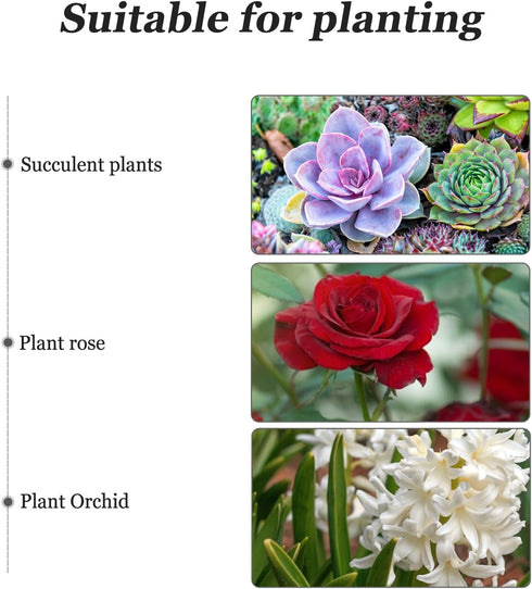 DOITOOL Wooden Whiskey Barrel Planter Large Wooden Planters Round Wooden Garden Flower Pot Decor Wood Planter Flat Mouth 19x14x15cm...