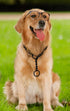 Matte Black Dog Choke Collar Slip P Chain,Heavy Chain Dog Metal Training Choke Collars, Adjustable Weather Proof Alloy Steel Necklace for Small Me...