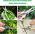 4-pack long Garden Flower Scissors 7.7 Inch...