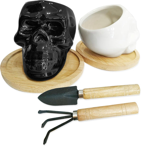 2PCS White and Black Skull Succulent Planter Pots Set, Creative Plant Lover Gifts Cactus Plant Pot Pen Pencil Holder for Home Office Decor (Black ...