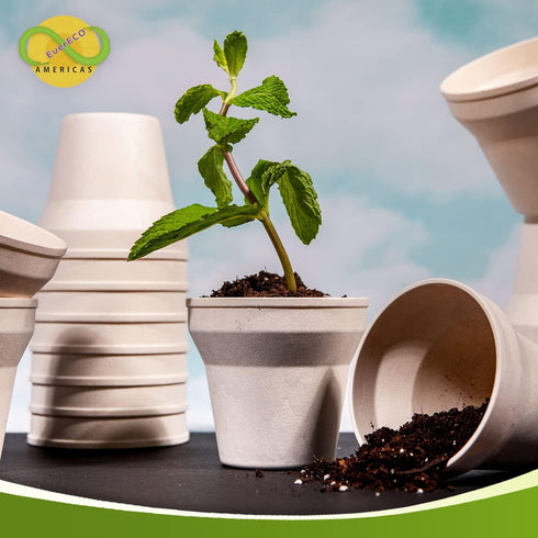 Americas 3.5" Biodegradable Plant Pots (16 Pack): Eco-Friendly Seed Starter Kit with Tapioca Starch for Nutrient-Enriched Soil...