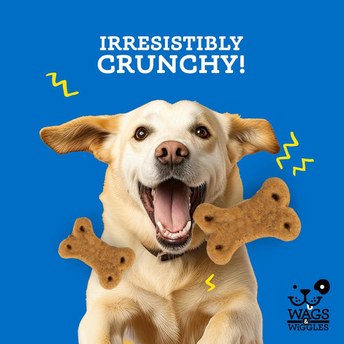 Wags & Wiggles Soft & Shiny Treats for Dogs, Chicken Flavor, 5.5 oz Resealable Bag | Skin & Coat Support Functional Treats for Dogs with Salmon fo...