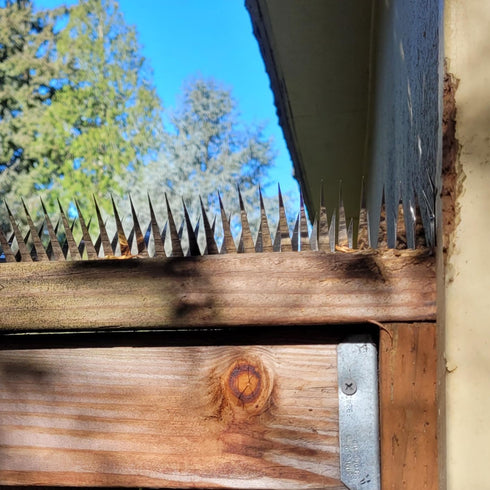 Comastbo40“ Raccoon Squirrel Spikes Deterrent for bird feeder pole,Tree baffle for Squirrel Raccoon Cat Deer,Good for Wall Barns Fence Roof with S...