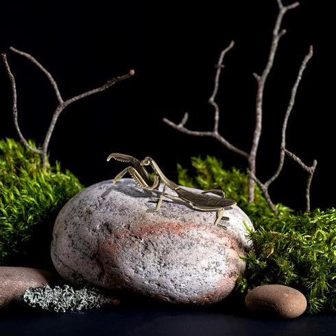 NUOBESTY Copper Praying Mantis, Feng Shui Brass Mantis Statue Animal Garden Sculpture Figurine for Art Graden Yard Tea Table Easter Feastival Deco...