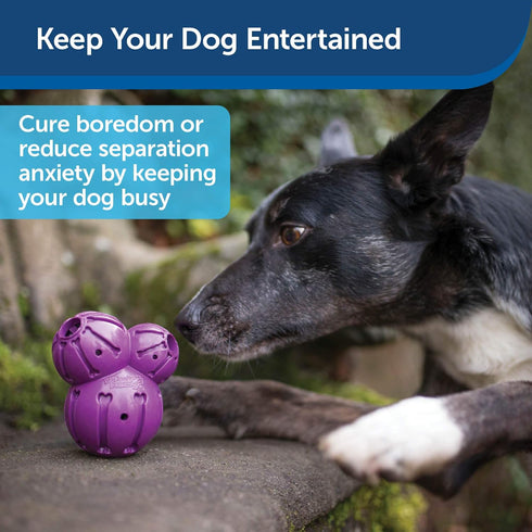 PetSafe Busy Buddy Barnacle - Dog Chew Toy - Treat Dispensing Dog Toys...