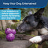 PetSafe Busy Buddy Barnacle - Dog Chew Toy - Treat Dispensing Dog Toys...