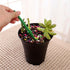 Pack of 2 Green Mini Garden Hand Succulent Transplanting Tools,Widger Plastic Seedlings Dibber Sowing Digging Mini Garden Hand Tools for Home Gard...