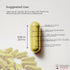 Quercetin Premium with Zinc and Bromelain - Immune System and Respiratory Health Support - Antioxidant Benefits - Non-GMO, Gluten-Free - 60 Vegan ...