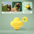 Earth Rated Dog Ball, Interactive Fetch Toy for Small, Medium, and Large Breeds, Comes in Multiple Sizes, Made with Natural Rubber, Perfect for In...