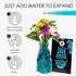 MODGY Expandable Flower Vase Plastic Decorative Modern Vases for Flowers Centerpieces Dining Table Decor Living Room Bathroom Wedding Office, Van ...