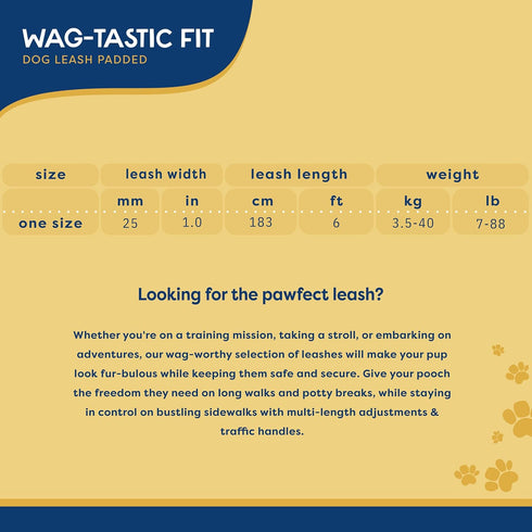 Good Scout Padded Handle Dog Leash, Durable Walking & Training Leash for Puppies & Adult Dogs with 2 Handles, Blue/Sky...