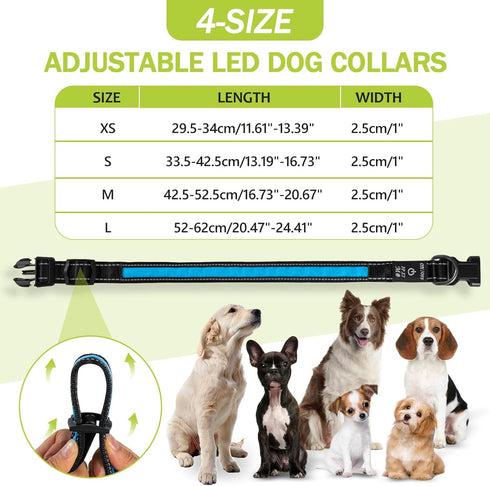 Led Glowing Dog Collars, Lighted Dog Collars for Night, Dog Glow Collar Rechargeable, Light Up Dog Collar for Small Dogs (Blue, Pack of 1, S)...