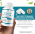 1 Body Brain Supplement – Nootropic Brain Booster with Alpha GPC, Ginkgo & Bacopa – 90 Vegan Capsules – Memory Supplement for Brain Support, Focus...