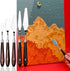 Set of 7, Acrylic Paint Palette and Palette Knife Painting SourceTon 2 Pieces with Thumb Hole Clear Paint Pallet and 5 Stainless Steel Wooden Hand...
