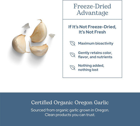 Eclectic Institute Raw Freeze-Dried Non-GMO Garlic | Antioxidants for Health, Helps Maintain Healthy Circulation | 90 CT...