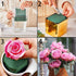KIMOBER Wet Floral Foam Bricks,Green Foam Blocks for Flower Arrangement, Wedding,Party Decoration, Pack of 3...
