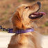 Hyhug Pets Reflective Dog Collar with Beautiful Jacquard Weave Solid Color Nylon for Pup Dogs Daily Walking and Training. (Small, Ultra Violet)...