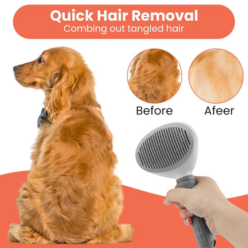 Cat Brushes for Indoor Cats - Dog Brush for Shedding - Cat Brush for Long Hair Cat - Dog & Cat Brush + Dog & Cat clicker for training - Self Clean...