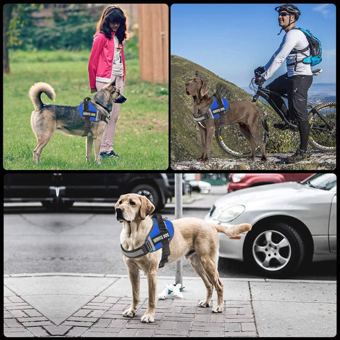 Dog Harness,No-Pull Service Dog Harness with Handle Adjustable Outdoor Pet Dog Vest 3M Reflective Nylon Material Vest for Breeds,Easy Control for ...