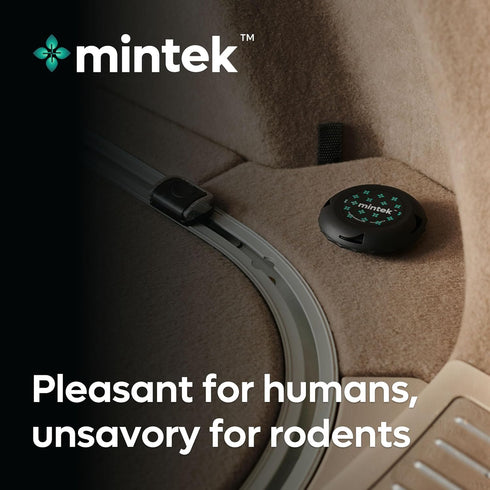 Mintek™ EZ Disk (2-Pack)...