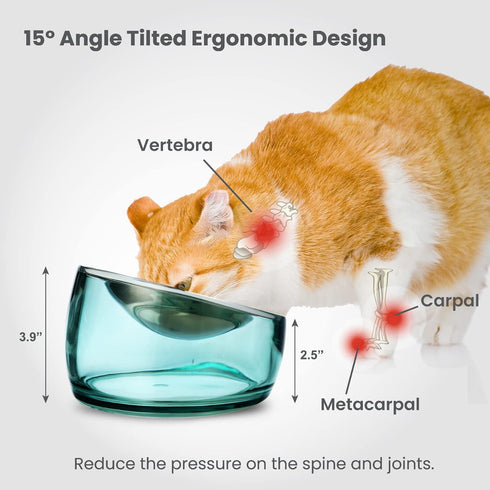Felli Pet Oblik Anti Whisker Fatigue Cat Bowl Raised Stainless Steel Angled Wide Shallow Dish for Dry Wet Food, Vomit & Spill Proof Tilted Elevate...