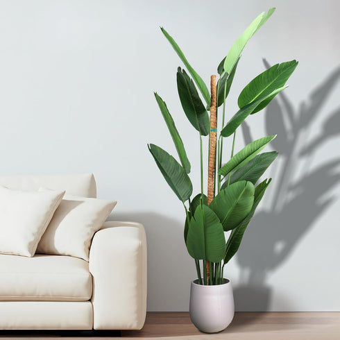 Moss Pole, 49 Inch Bendable Moss Pole for Climbing Plant, Monstera Plant Support, Moss Pole for Plants Indoor, Plant Support Stakes for Indoor Pot...