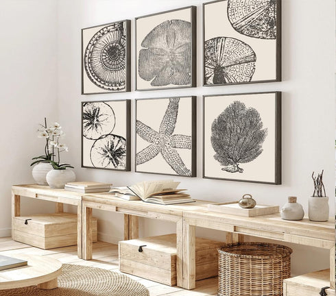 WYHLMTQ 6Pcs Boho Beach Coastal Posters Canvas Wall Art Modern Abstract Painting Shell Pictures Prints Wall Decor Beach Gallery Artwork for Beach ...