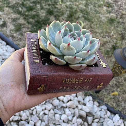 Succulent Pots, Cute Resin Animal Flower Planters Decorations, 4 Inches, Creative Pot for Sempervivum with Drainage, Gift for Women, Man, Office a...