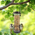 MIXXIDEA Wild Bird Feeders for Outdoors Hanging 2 Pack Stainless Steel Tube Bird Feeder Squirrel Proof, Finch Feeder for Garden Backyard Decoratio...