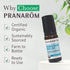 Pranarom - Aromacalm Stress Relief Roll-On (8ml) - Contains Sweet Orange, Bergamot, Lavender - 100% Organic & Natural Essential Oil Blend for Rela...