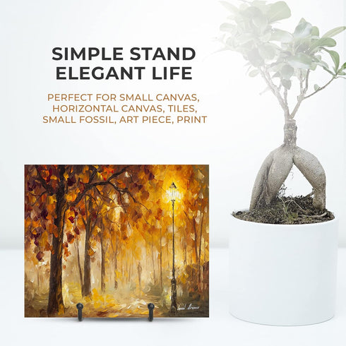 TR-LIFE 3 Pack 3 Inch Plate Stands for Display - Plate Holder Display Stand + Metal Frame Holder Stand for Picture, Decorative Plate, Platter, Boo...