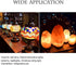 C7 E12 LED Bulbs Salt Lamp Light Bulb Replacement for 15W Himalayan Salt Lamps, Night Light Bulbs, Chandeliers, C7 LED Bulbs, 6000K 2Pack...