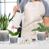 Plant Pots for Indoor Plants, 6 Pack 6.4/5.5/4.7in Clear Plastic Planter with Drainage Holes and Saucers for Orchid, African Violet, Spider Plant,...