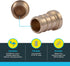 SharkBite 1/2 Inch Crimp Plug, Pack of 5, Brass Plumbing Fitting, PEX Pipe, PE-RT, UC514LFA5...
