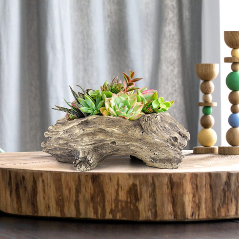 Succulent Planters Driftwood Planter Succulent Pots Small Plant Flower Cactus Pots Tree Stumb Wood Planter with Drainage Hole...