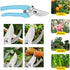 Flower Rose Thorn Remover Leaf Burrs Pliers Kit Stripper Stripping Tool with Scissors, Glove for Garden Floral Making, Florist Supplies...