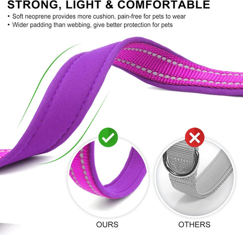 azuza 2 Pack Neoprene Padded Dog Collar for Small Dogs, Reflective Dog Collar with ID Tag Ring, Adjustable Safe and Comfy Dog Collars,Purple/Pink,...