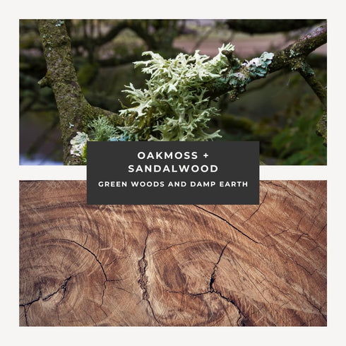 Oakmoss and Sandalwood Rollerball Cologne for Men, Women, Unisex, Green Earthy Aromatic Scent, Celt by Herb and Root, 10 ml...