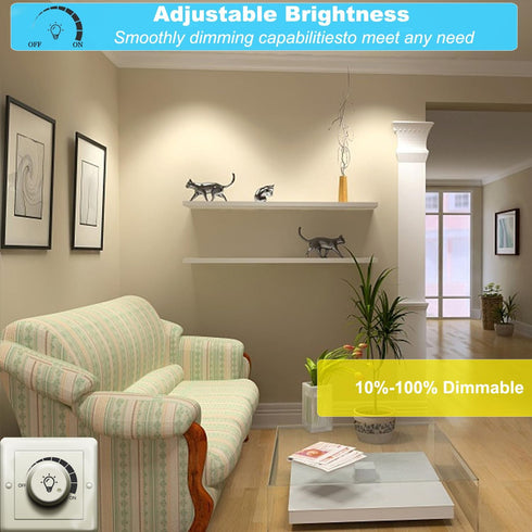Par38 Flood Light Bulbs Outdoor/Indoor 5000K Daylight,15W(150W Equivalent) LED Bulb Waterproof Spot Light Bulb, Dimmable led Flood Light, E26 Medi...