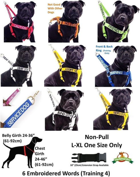 FRIENDLY Green Color Coded 2 4 6 Foot Padded Dog Leash (Known As Friendly) PREVENTS Accidents By Warning Others of Your Dog in Advance (Standard L...