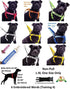FRIENDLY Green Color Coded 2 4 6 Foot Padded Dog Leash (Known As Friendly) PREVENTS Accidents By Warning Others of Your Dog in Advance (Standard L...