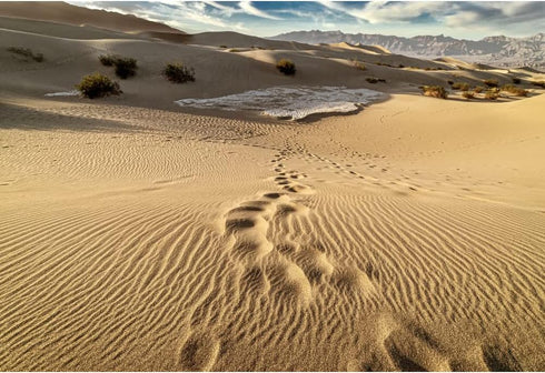 7x5ft Desert Landscape Photography Background Blue Sky White Clouds Desert Footprints Natural Scenery Background for Party Supplies Party Decorati...