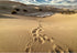 7x5ft Desert Landscape Photography Background Blue Sky White Clouds Desert Footprints Natural Scenery Background for Party Supplies Party Decorati...